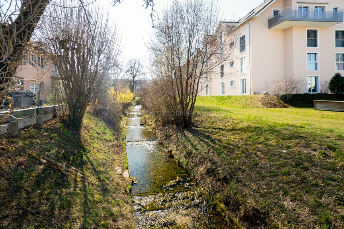 Grünzug mit Bachlauf zwischen Wohngebäuden