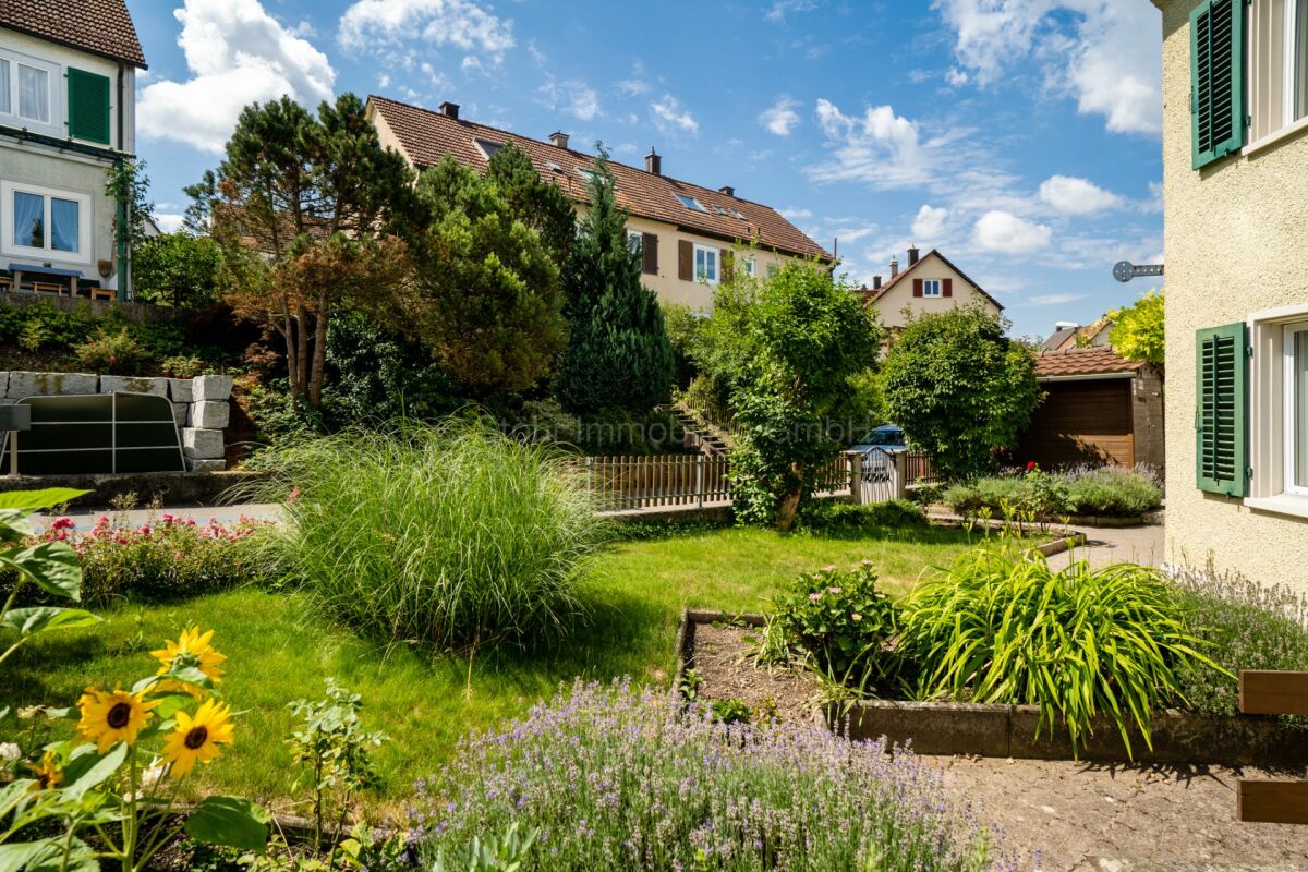 Gepflegter Garten mit Wohnhäusern