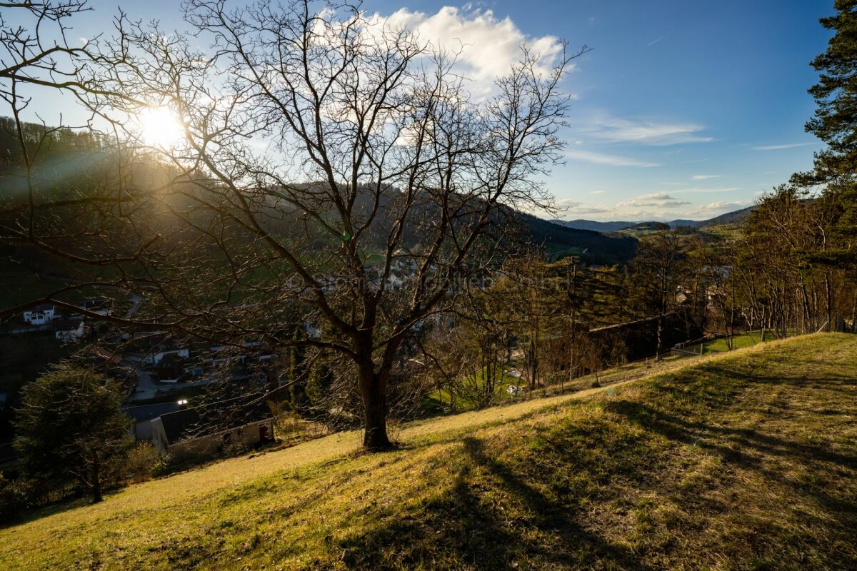 Hügelblick mit sonnigem Landschaftspanorama