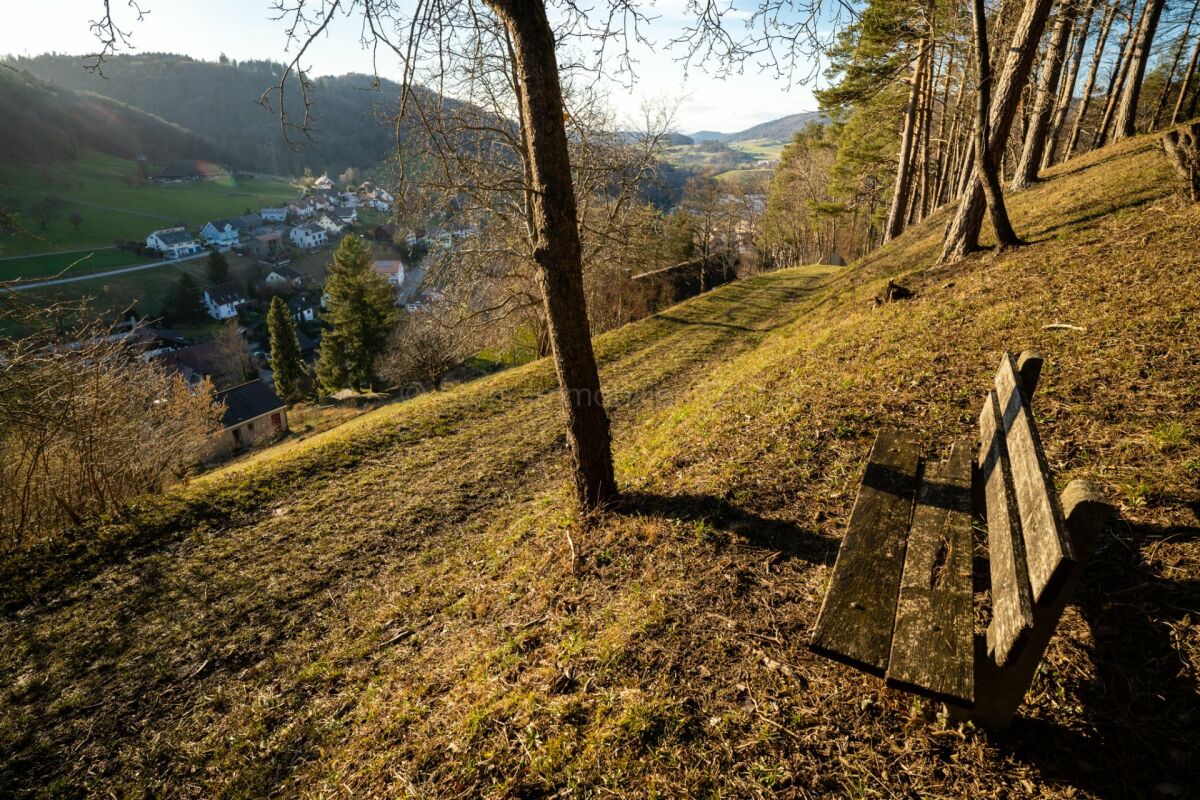 Hanglage mit Panoramablick ins Tal