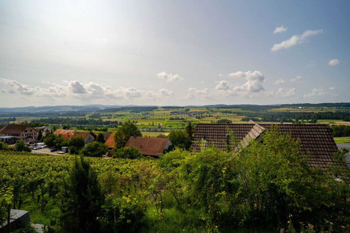 Ländliche Aussicht mit Häusern und Feldern