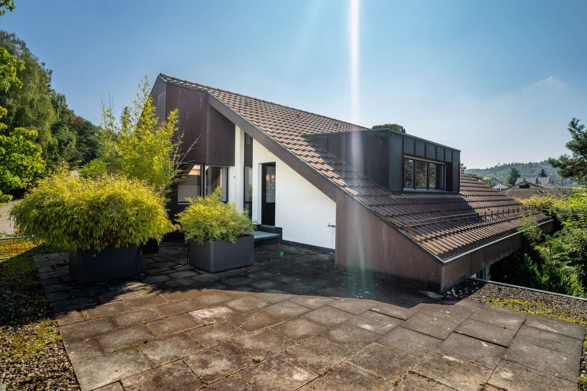 Modernes Einfamilienhaus mit geneigtem Dach und großer Terrasse
