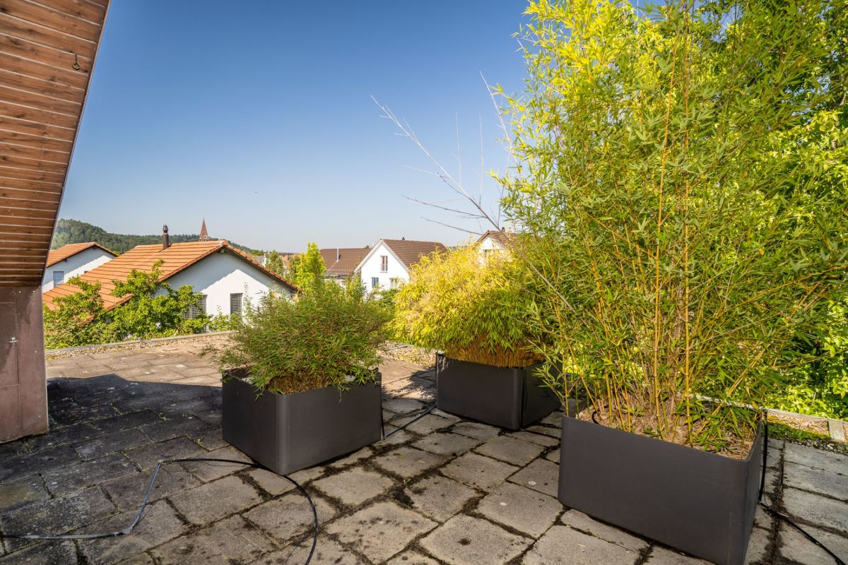 Dachterrasse mit Pflanzkübeln und Blick auf Wohnhäuser