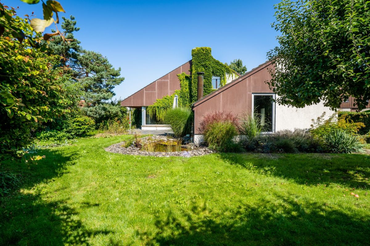 Moderner Garten mit flachem Wohnhaus