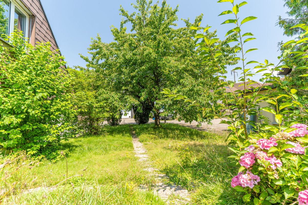 Grüne Gartenansicht mit Wohnhaus und blühenden Sträuchern