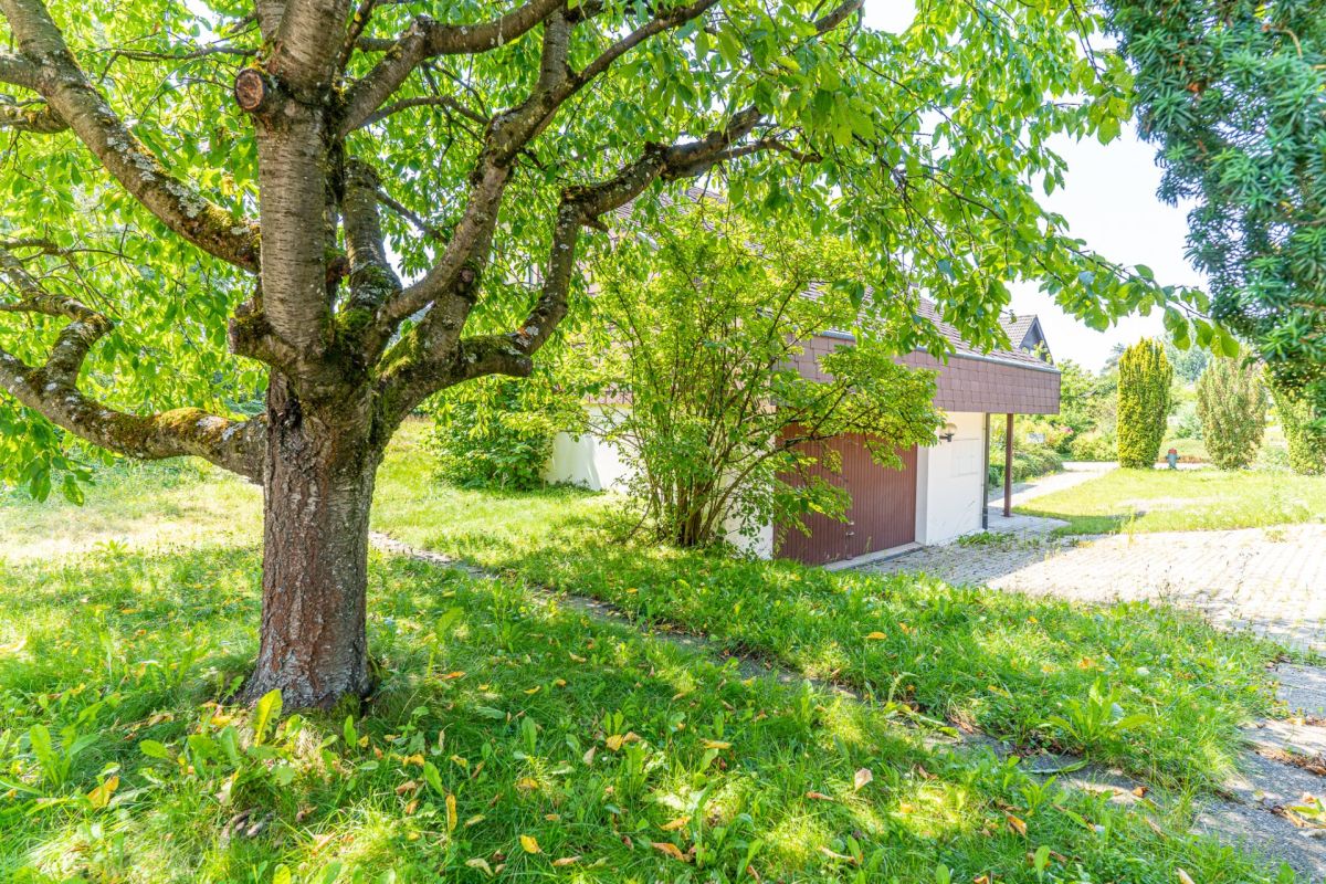 Garten mit Garage und Zufahrt