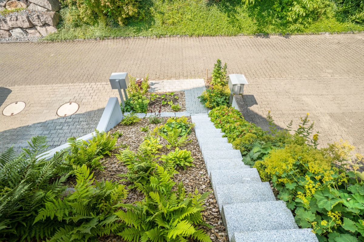 Außenansicht eines begrünten Eingangsbereichs mit Treppe