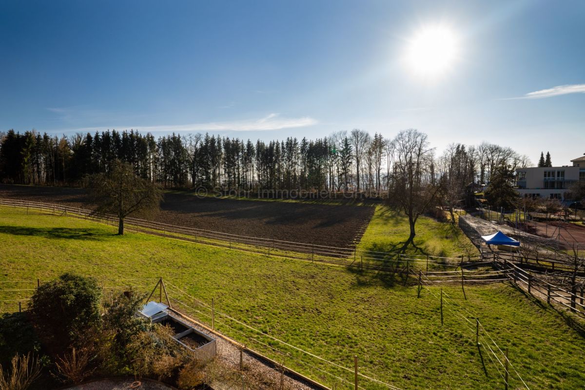Landschaftsblick mit Weide und Wald