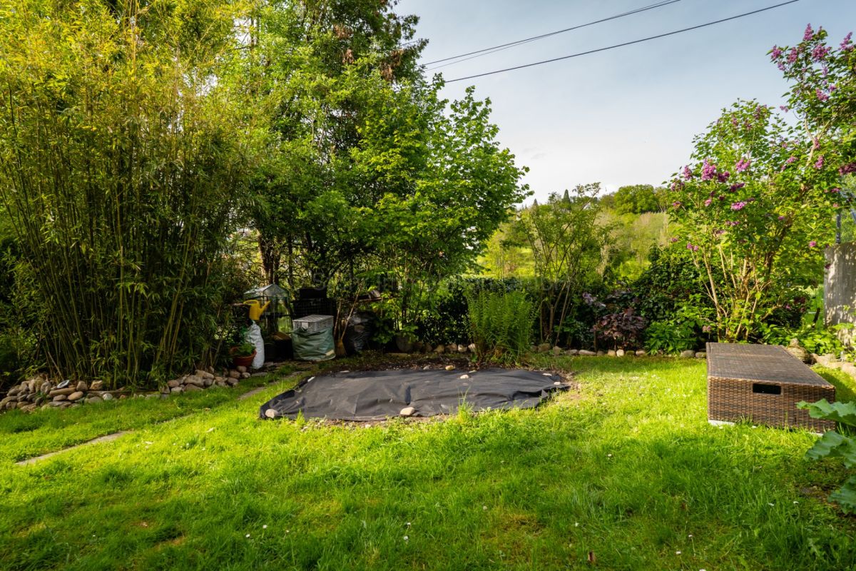 Garten mit dichter Begrünung