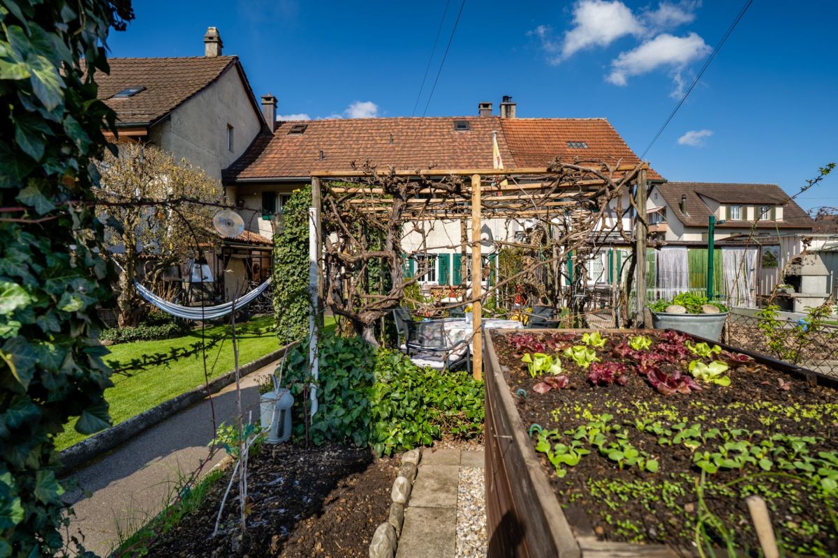 Gemütlicher Garten mit Pergola und Gemüsegarten