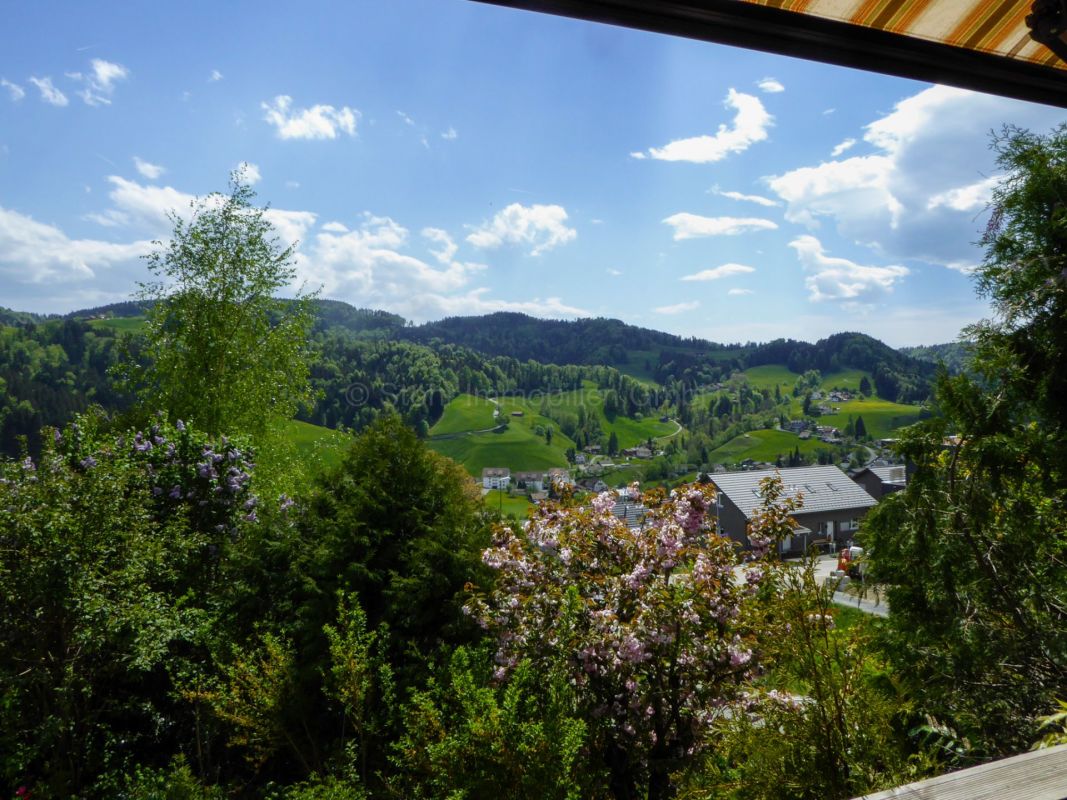 Landschaftsblick über grüne Hügel
