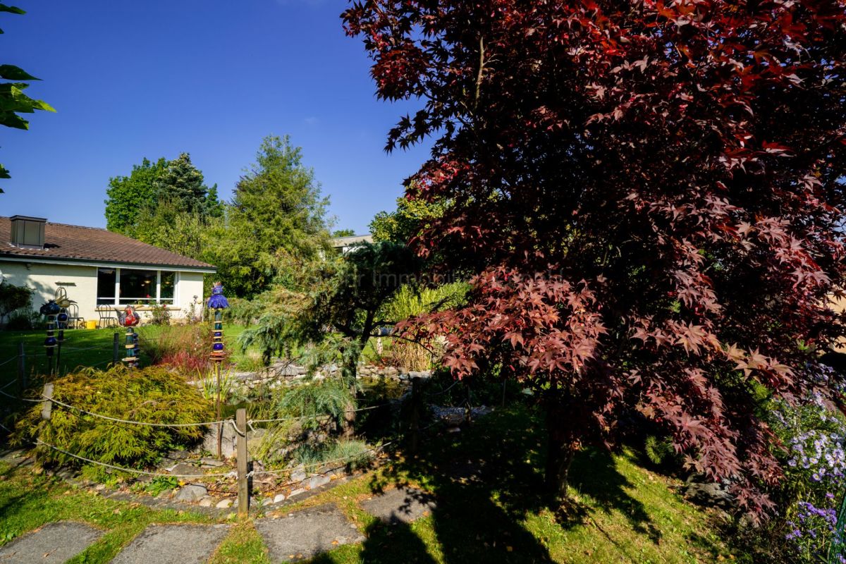 Gartenansicht mit Wohnhaus und üppiger Bepflanzung