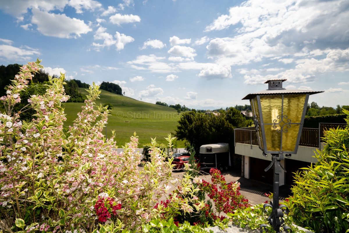 Gartenblick mit Landschaft und Zufahrt