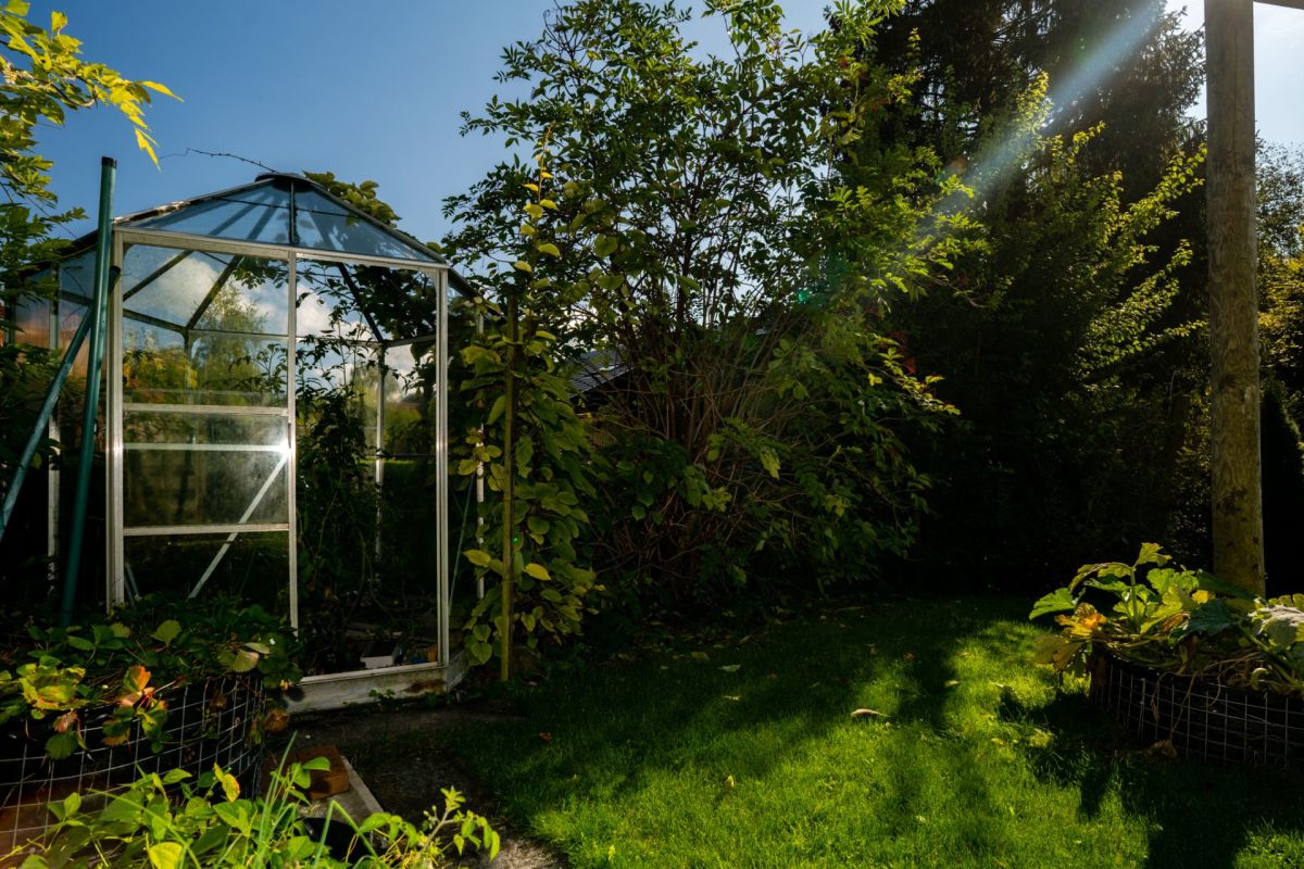 Gewächshaus im Garten