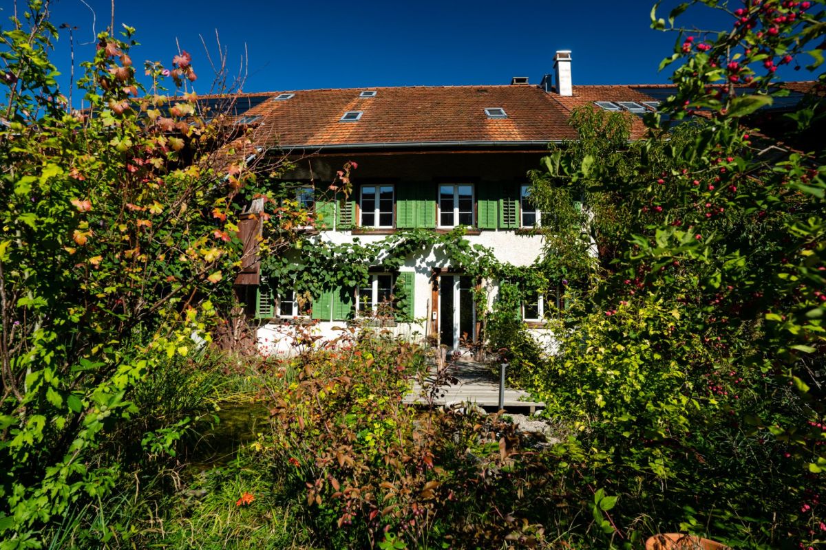 Haus mit üppigem Garten und grünem Fensterläden