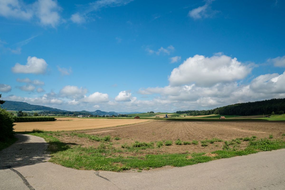 Landschaft mit Feldern