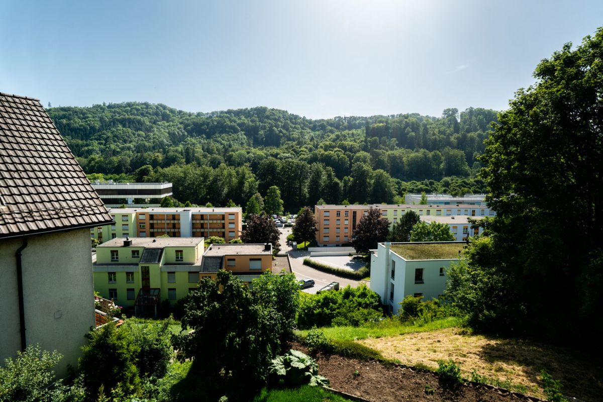 Blick ins grüne Tal mit Wohnhäusern