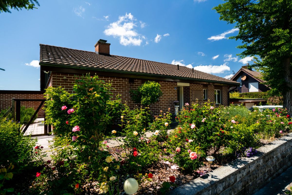 Einfamilienhaus mit Garten