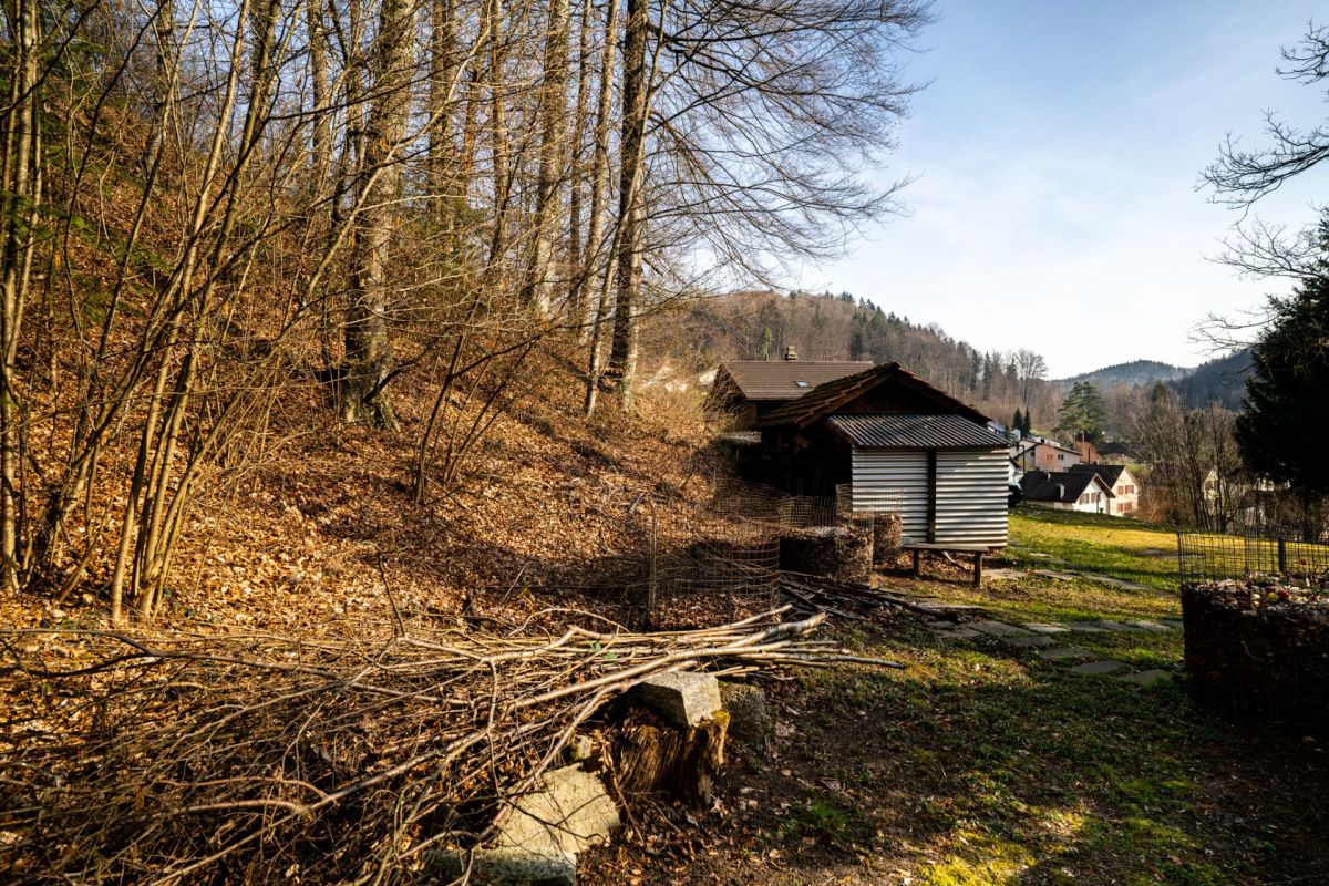 Ländliche Außenansicht mit Waldhang und Nebengebäude