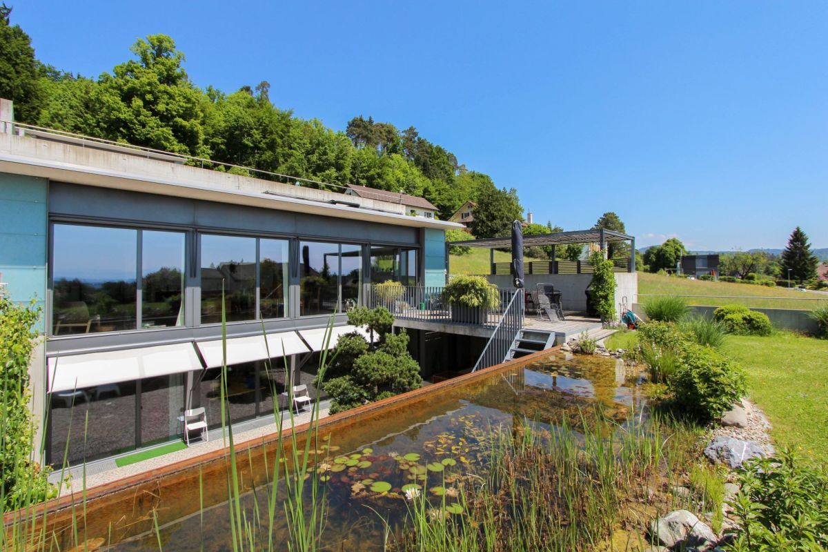 Moderne Außenansicht mit Garten und Wasserbecken