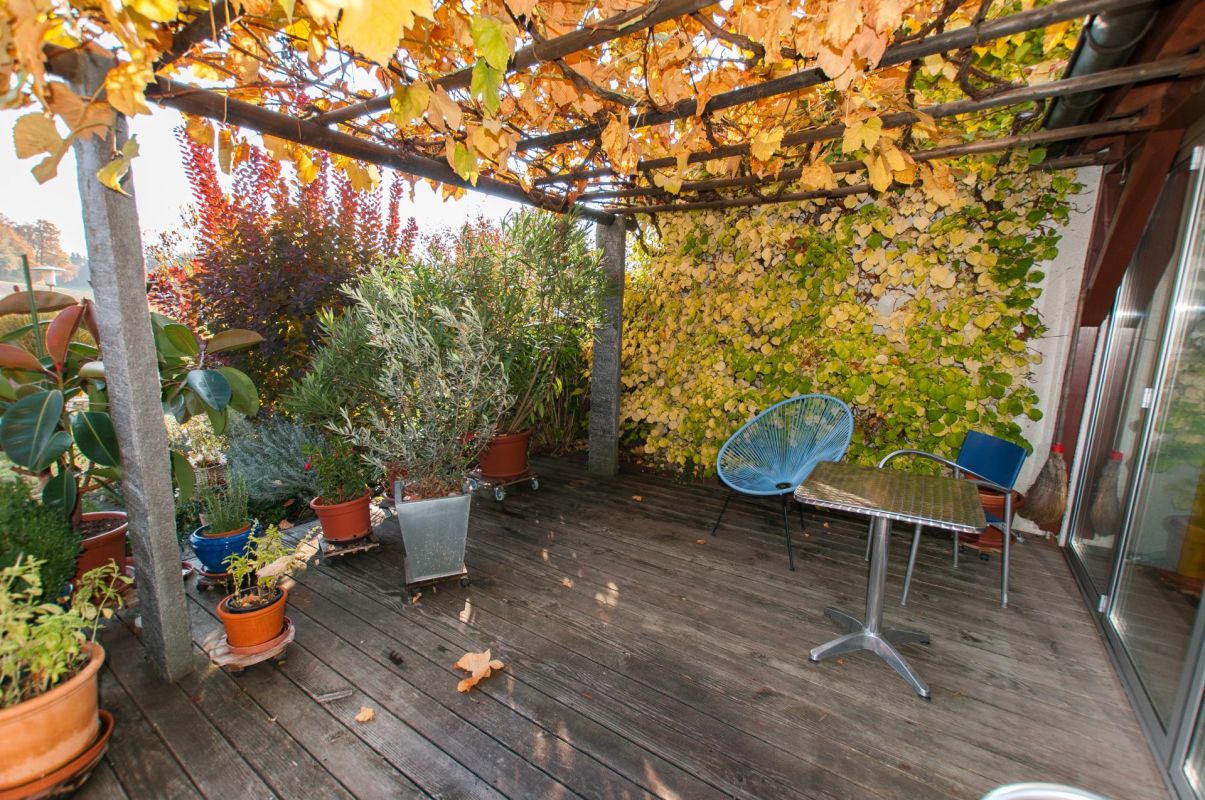 Überdachte Terrasse mit Pflanzen und Sitzbereich