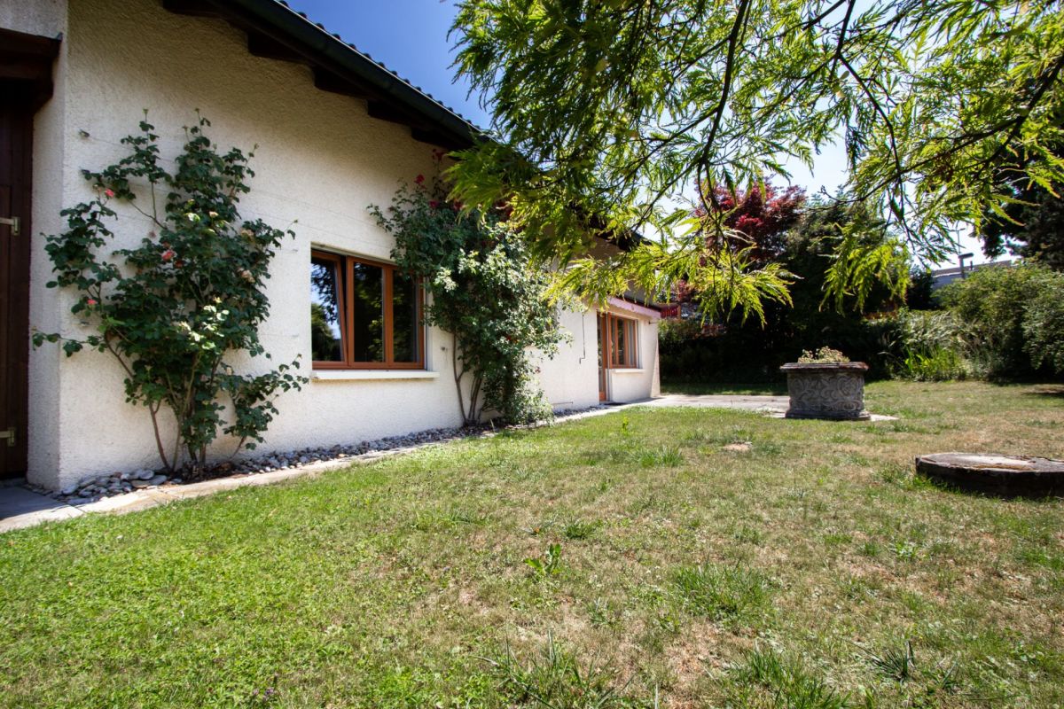 Gartenansicht eines Hauses