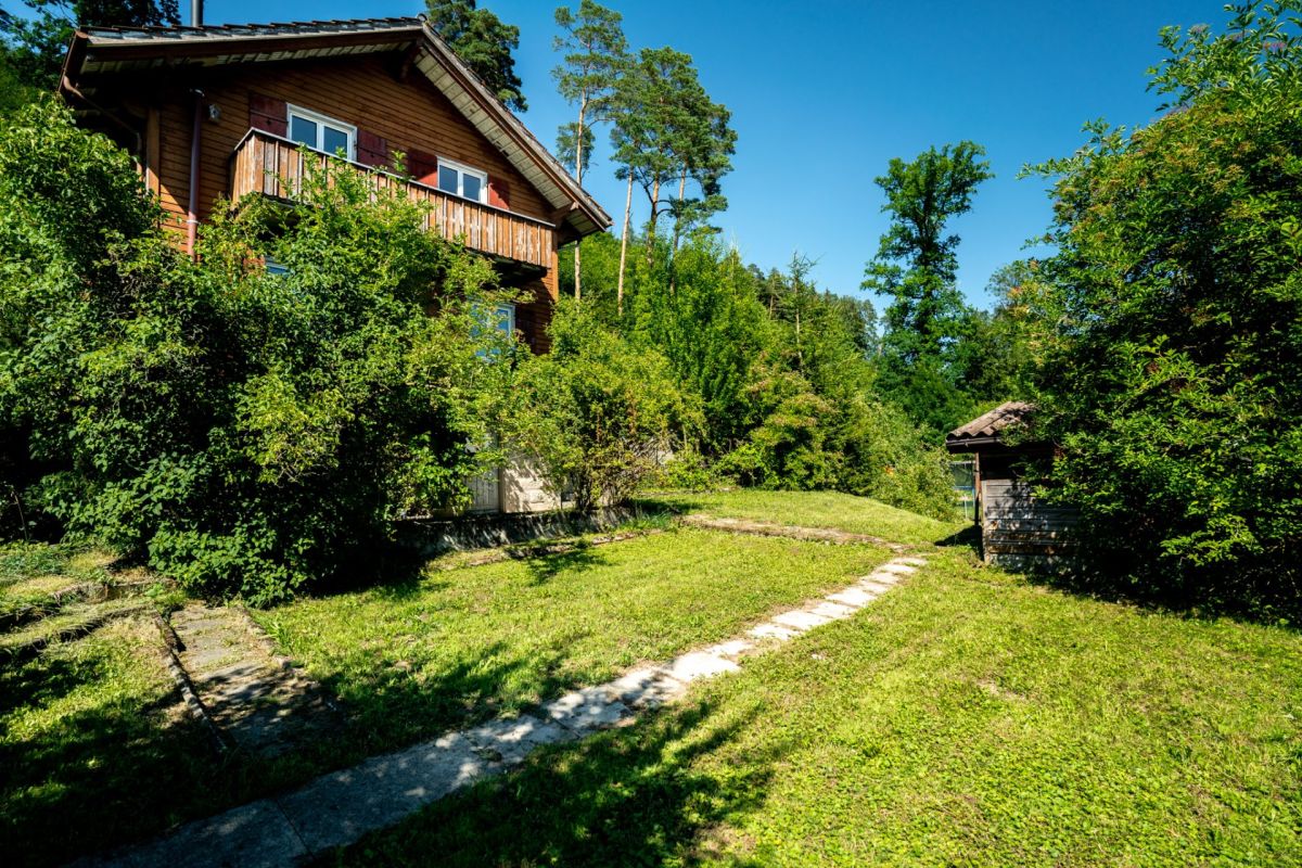 Garten mit Holzhaus