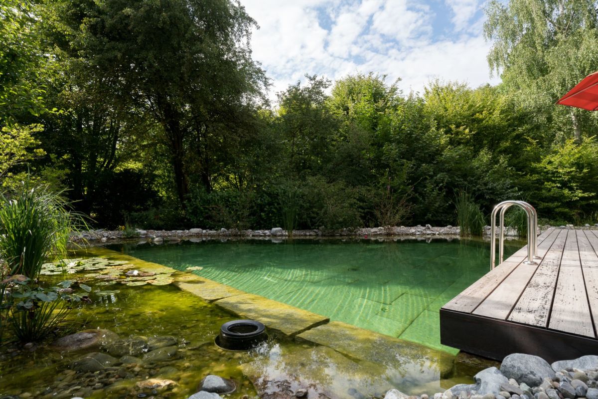 Naturnaher Garten mit Pool