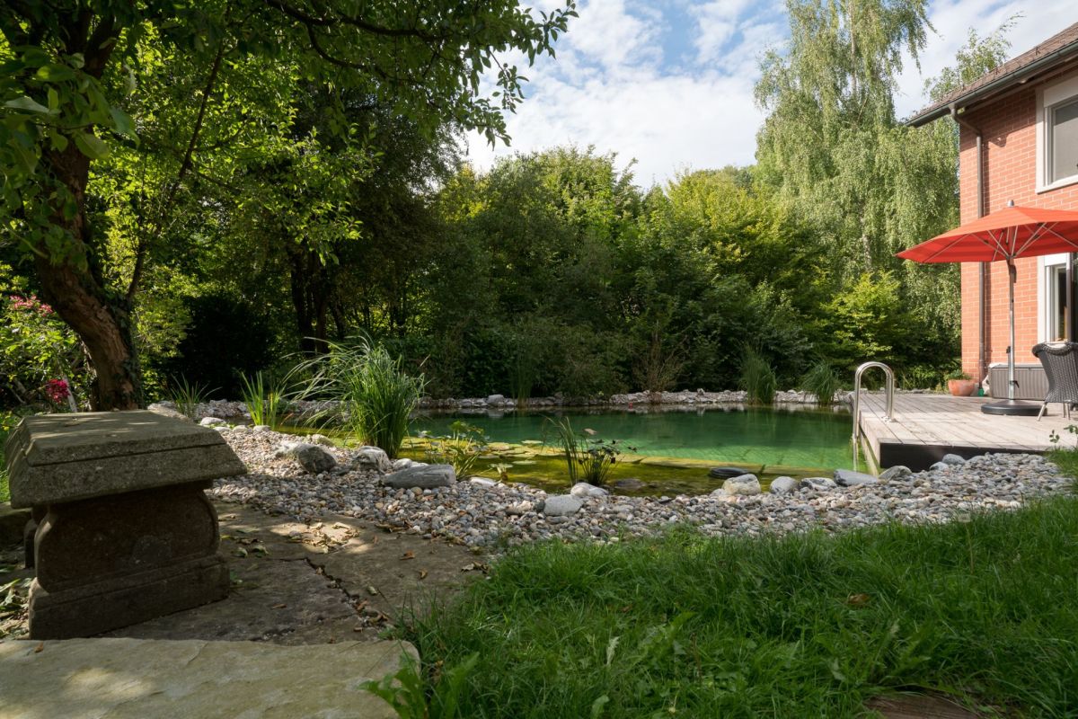 Garten mit Naturpool und Terrasse