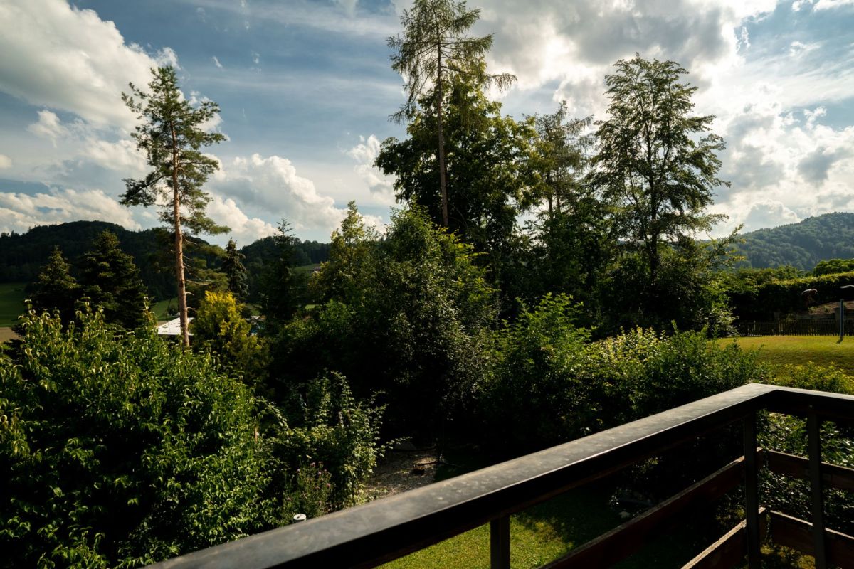 Blick ins Grüne von einer Terrasse