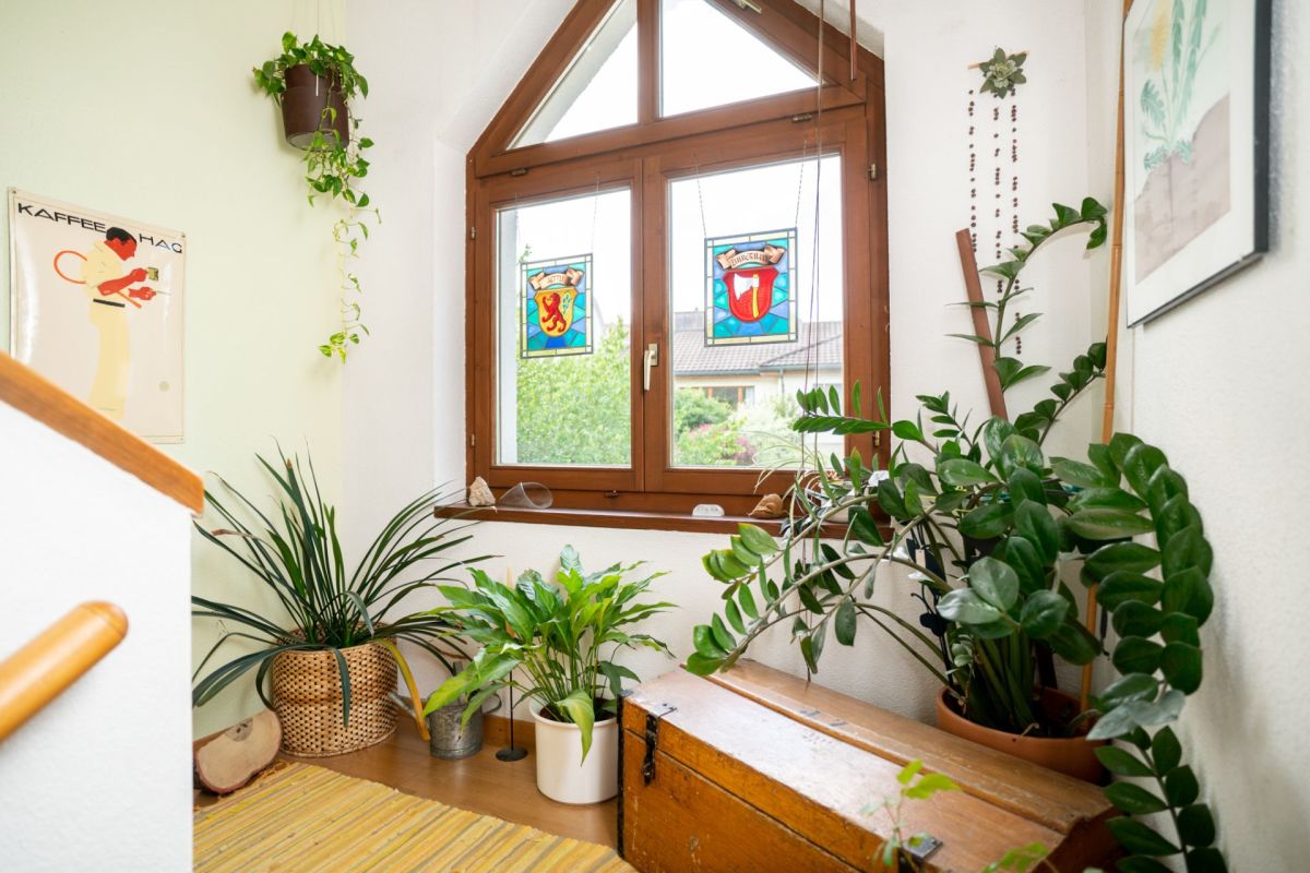 Heller Treppenhausbereich mit vielen Zimmerpflanzen