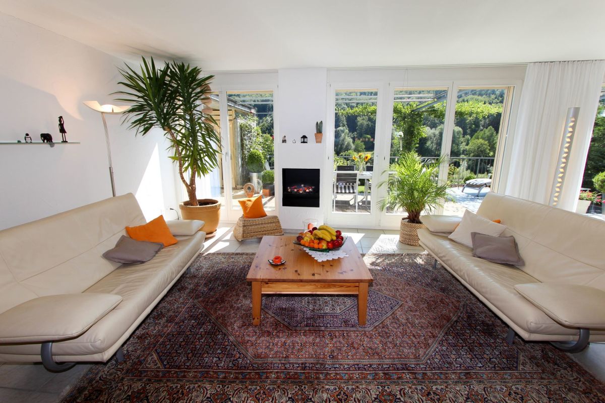 Heller Wohnraum mit Terrasse und Bergblick