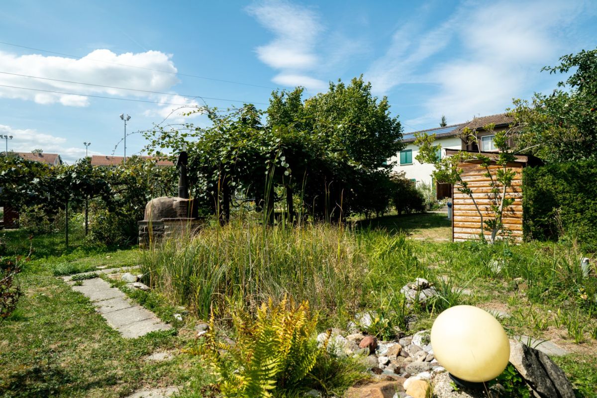 Großer begrünter Garten mit Gartenhaus