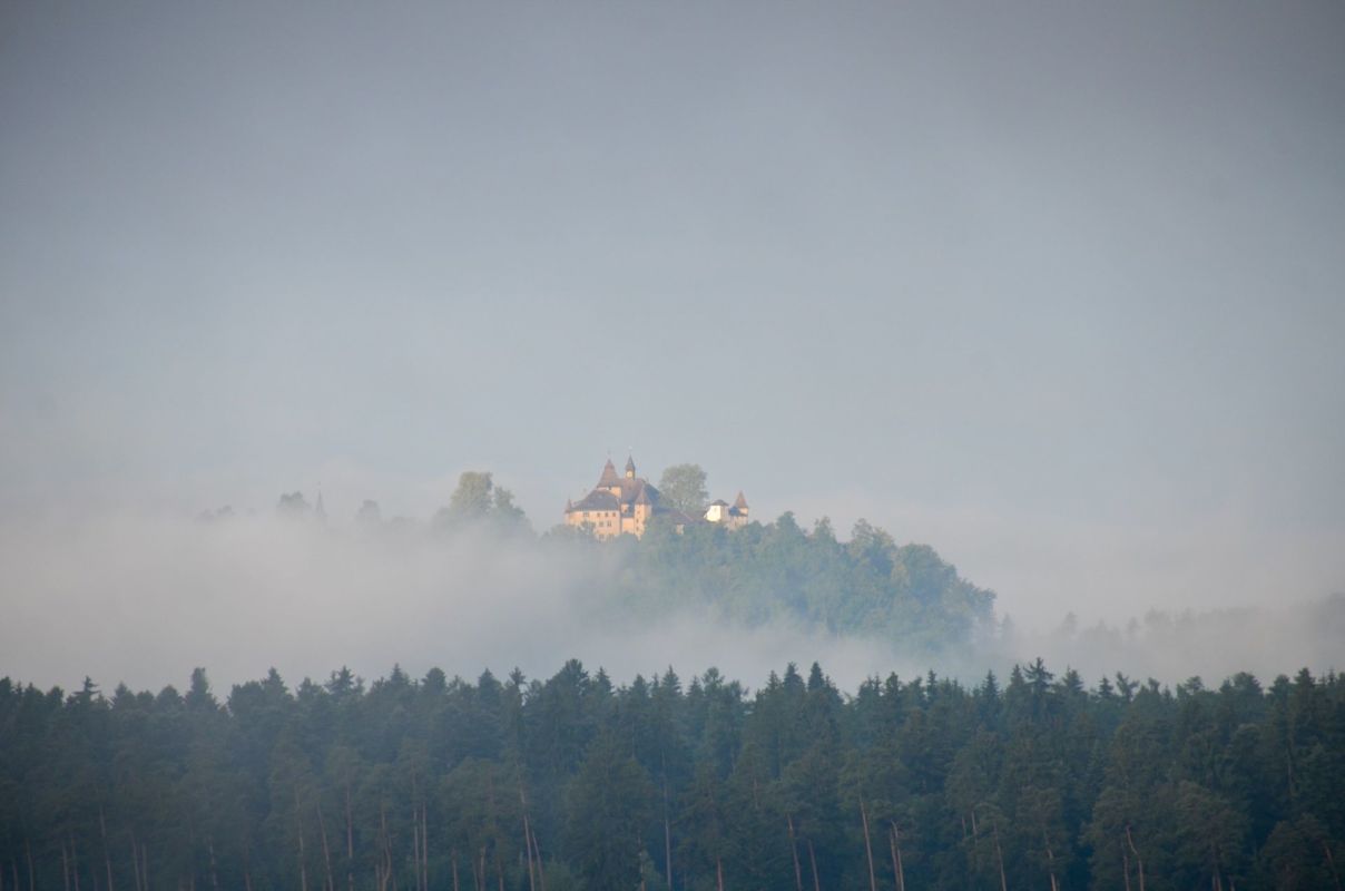 Burg auf bewaldetem Hügel im Nebel