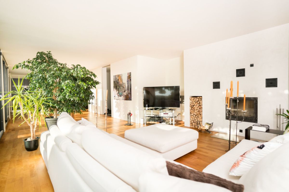 Helles Wohnzimmer mit Kamin und Pflanzen