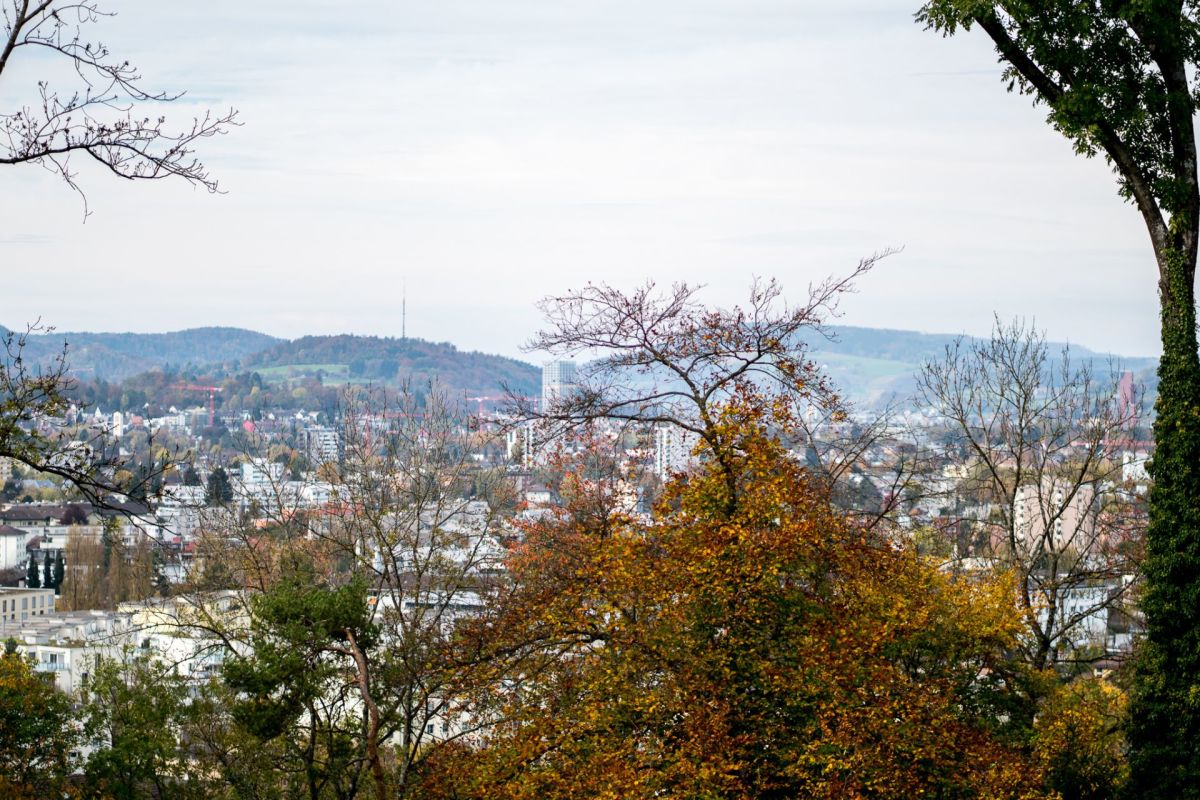 Stadtblick über Bäume