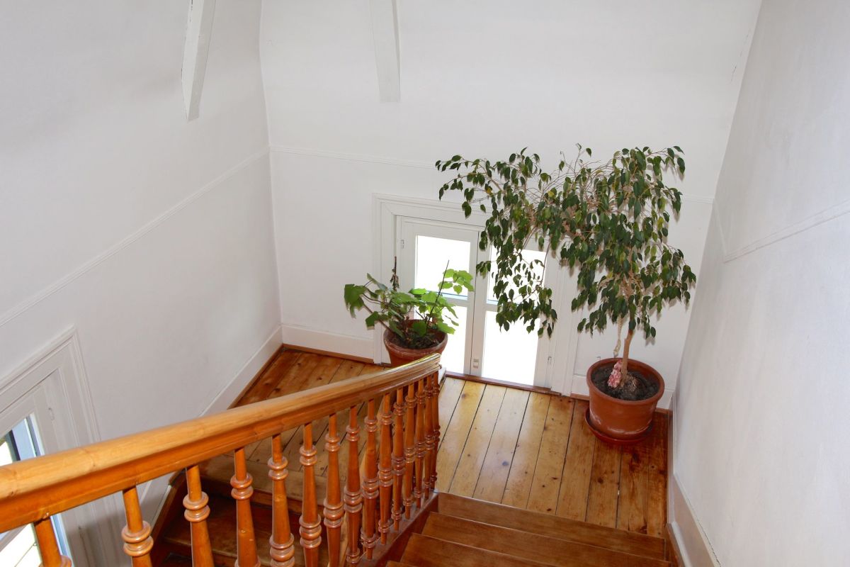 Treppenhaus mit Pflanzen