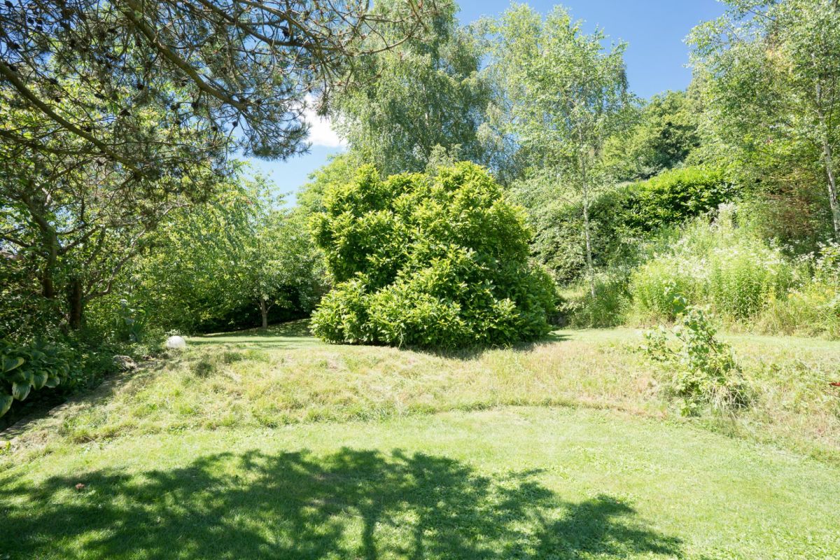 Grüner Garten mit Rasen und Bäumen