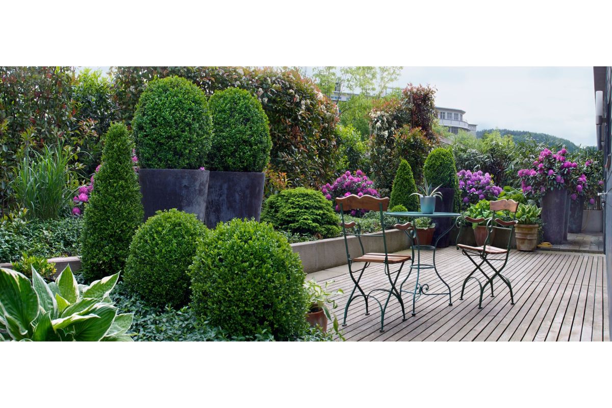 Terrasse mit üppiger Begrünung