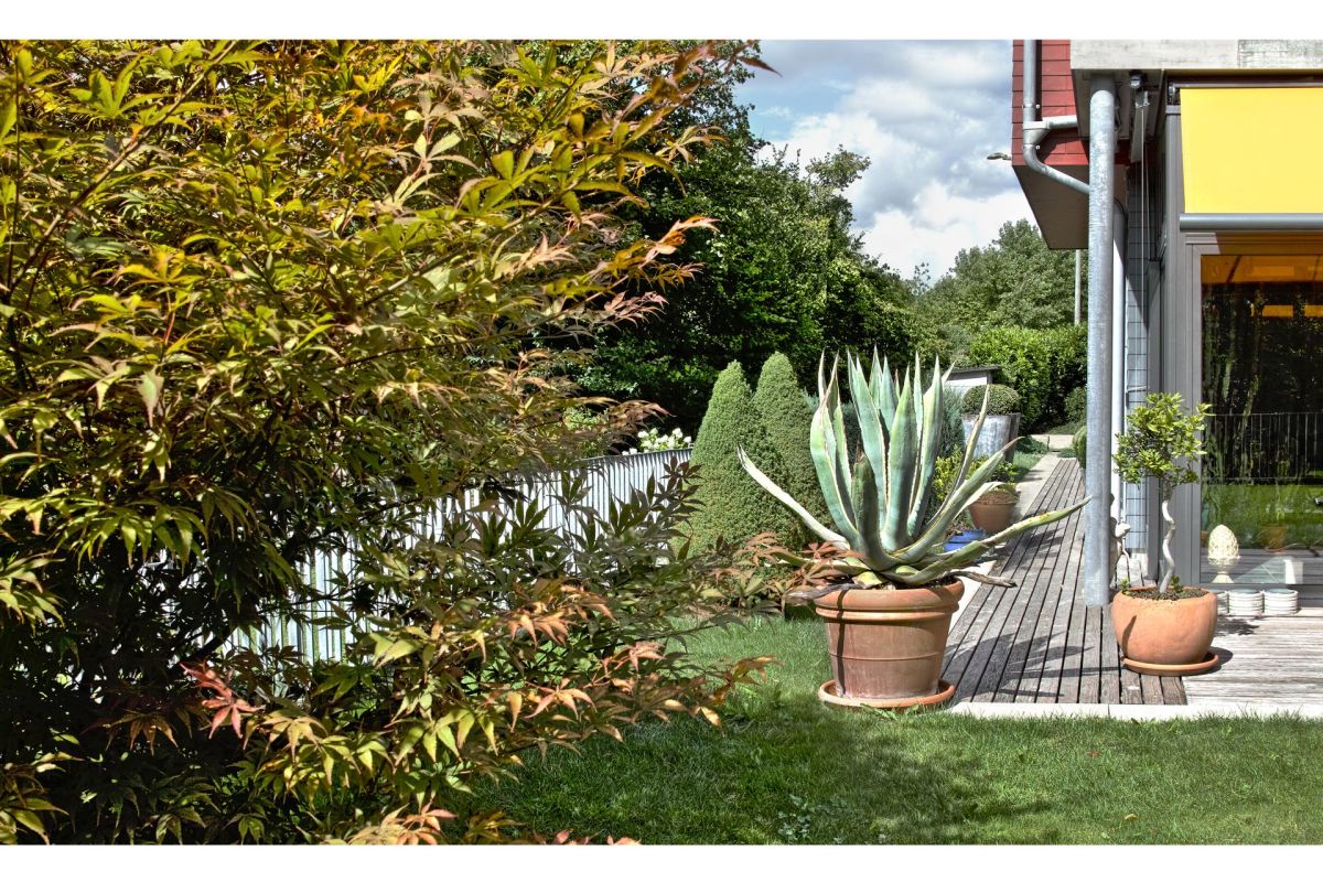 Garten mit Terrasse am Haus