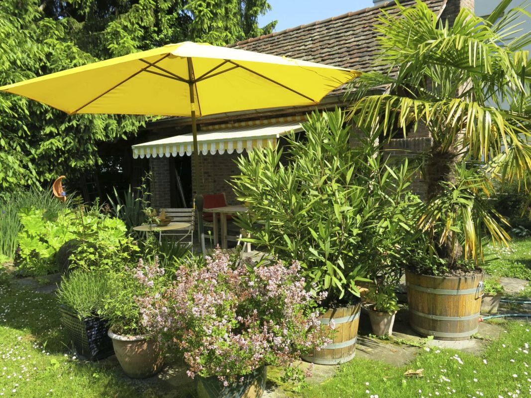 Garten-Terrasse mit Sonnenschirm