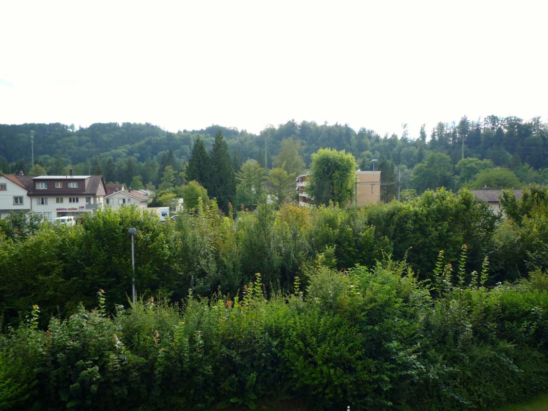 Grüne Wohnumgebung mit Blick ins Tal