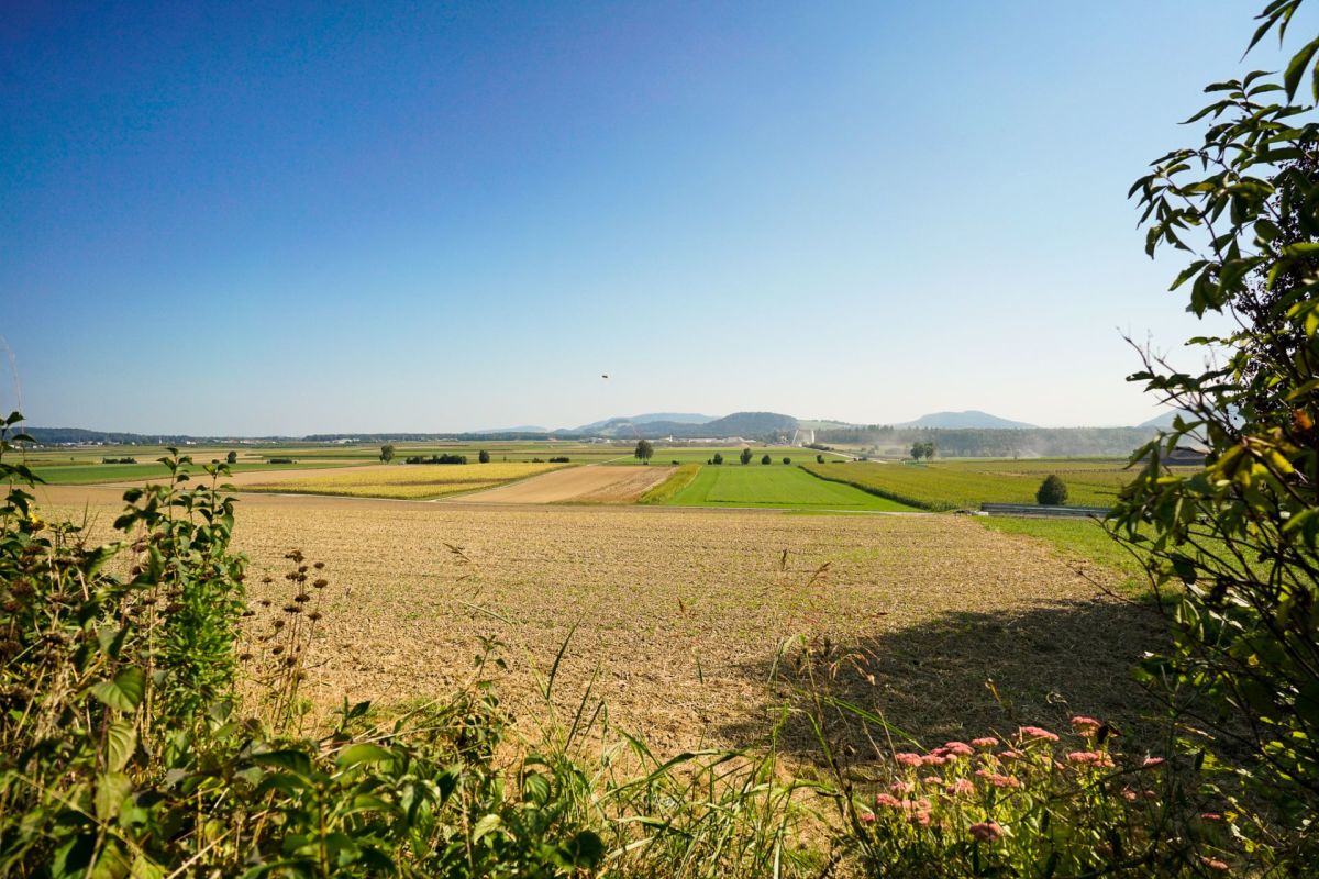 Ländliche Landschaft mit weitem Ackerblick