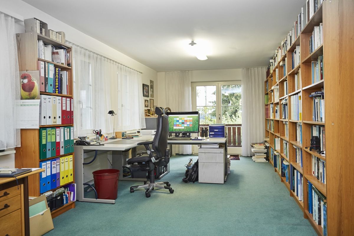 Arbeitszimmer mit Bücherregalen