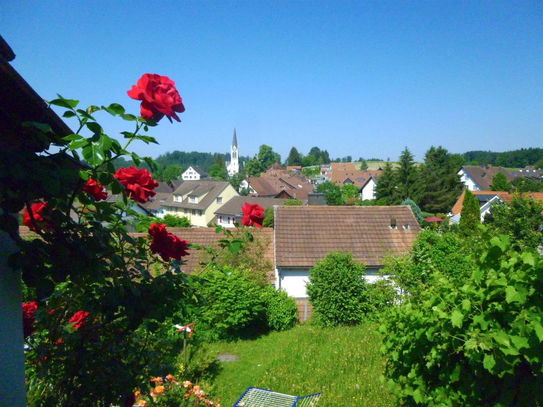 Gartenblick über ein Wohnviertel