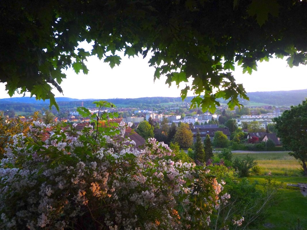 Garten- und Stadtblick von erhöhter Lage