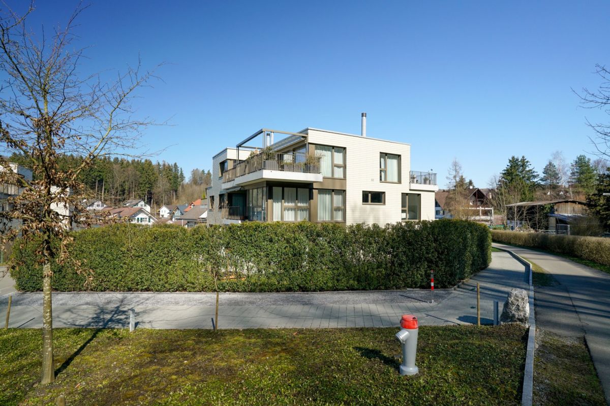 Modernes Wohnhaus mit Balkon und umlaufender Hecke