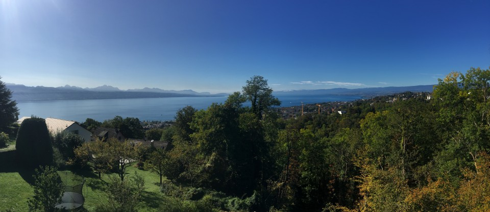 Seeblick mit Garten und Landschaft