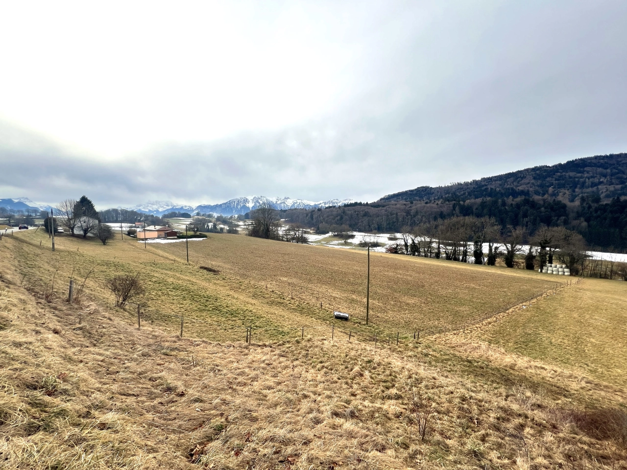 Landschaft mit Wiesen und Bergpanorama