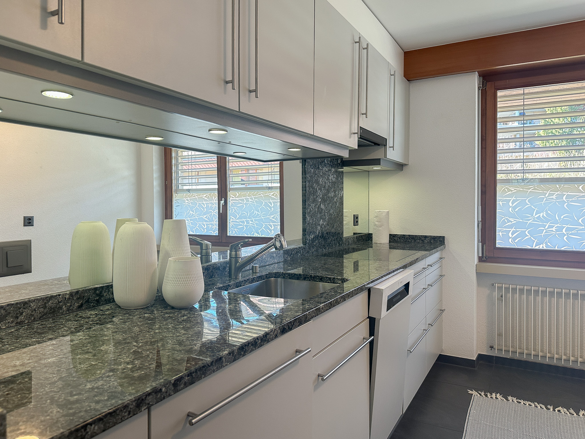 Moderne Küche mit Granitarbeitsplatte